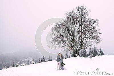 Young pretty pair of lovers. Winter. Date. A pair of lovers on a date in the mountains. Stock Photo