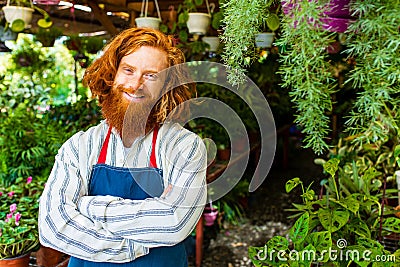 young redhaired ginger bearded man in apron working in the garden or plantation Stock Photo