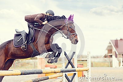 Young rider girl at show jumping. Jump hurdle Stock Photo