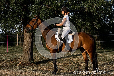 Young rider in helmet and white sports uniform on horse against the background of trees onsummer evening. Side view. Active Stock Photo