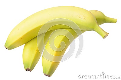 Young ripe banana Stock Photo