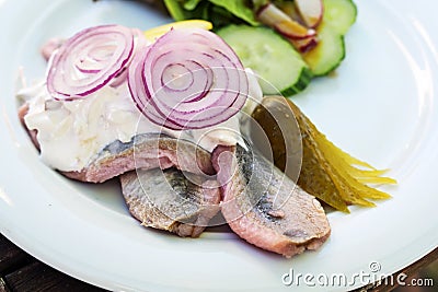 Young salted fish called soused or matjes herring with sour cream, gherkin and red onions, served with salad on a white plate, Stock Photo