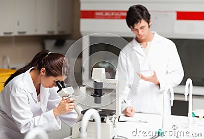 Young science students making experiments Stock Photo