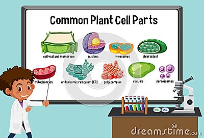 Young scientist explaining common plant cell parts in front of a board in laboratory Vector Illustration