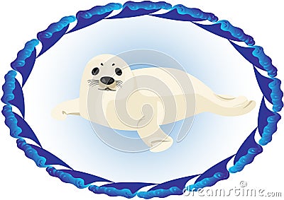 A young seal Stock Photo