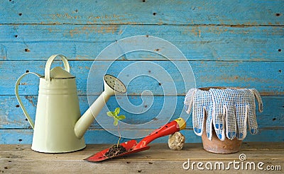 Young seedling and gardening utensils Stock Photo