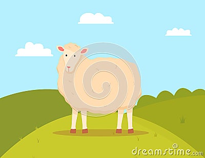 Young Sheep Domesticated Ruminant Animal, Mutton Vector Illustration