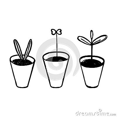 Young shoots in flower pots. Vector floral set. Doodle style, hand-drawn, forcing plants, seedlings in pots. Black outline drawing Vector Illustration