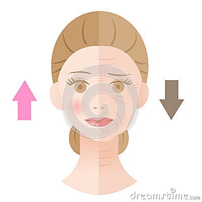 Young skin and old skin with wrinkles of woman face. Before and after skin care concept Vector Illustration