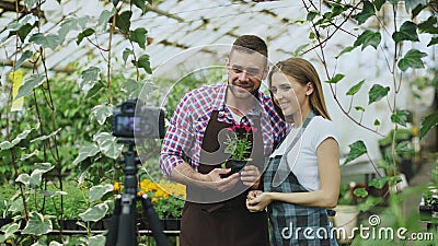 Young smiling blogger couple gardeners in apron holding flower talking and recording video blog for online vlog about Stock Photo