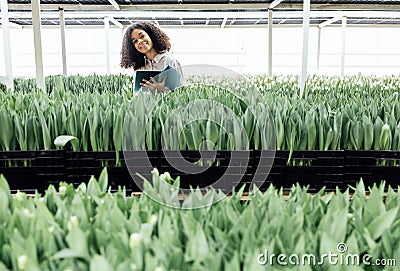 Young smiling mixed race woman uses digital tablet to grow tulips of different type Stock Photo