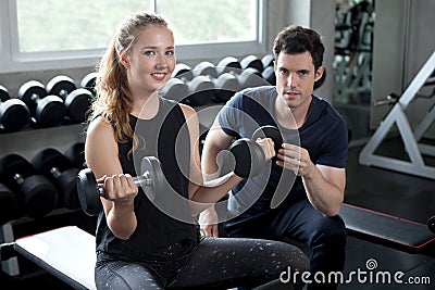 young sport woman exercise lifting dumbbells on the bench in fitness gym healthy .Muscular girl in sportswear training biceps Stock Photo