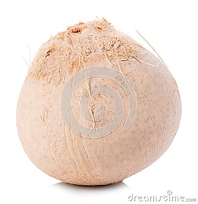 Young sweet coconut close-up isolated on white background Stock Photo