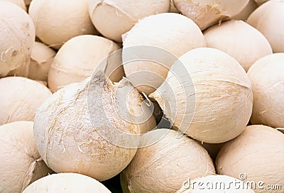 Young sweet white coconut Stock Photo