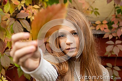 Young teenage girl ginger with freckles with autumn leaves in hand and autumn yellow and red garden background. seasons concept. Stock Photo