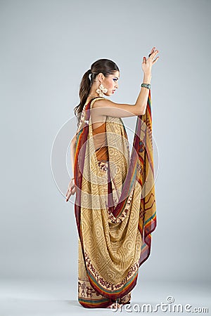 Young traditional Asian Indian woman in indian sari Stock Photo