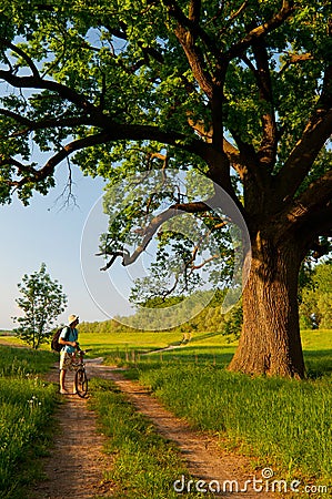 Young traveler with bicycle looking at huge oak Stock Photo