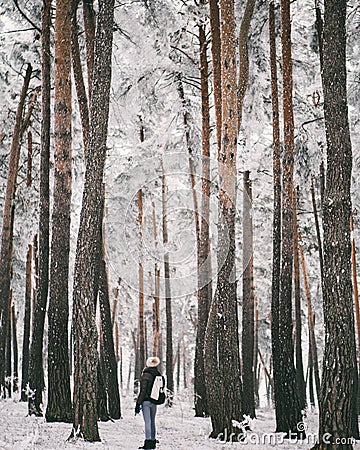 young traveler woman in winter forest Stock Photo