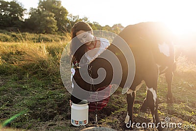 Young Ukrainian woman waters the calf from water can dressed in traditional national clothes on pasture Stock Photo