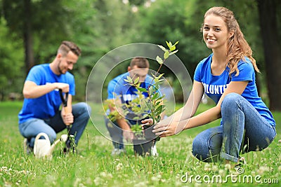 Young volunteers planting trees in park. Charity work Stock Photo