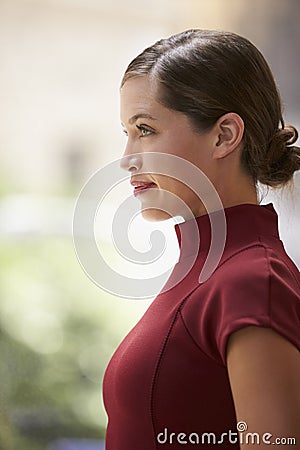 Young white businesswoman in maroon dress, side view, vertical Stock Photo