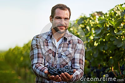 Young winemaker in vineyard Stock Photo