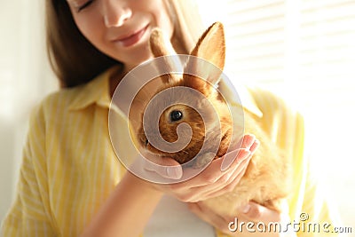 Young woman with adorable rabbit, closeup. Lovely pet Stock Photo