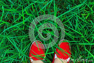 Young woman in bright red canvas shoes stands on fresh green grass field meadow top view shot. Nature greenery background Stock Photo