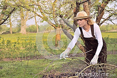 Young woman cleaning tree limbs Stock Photo