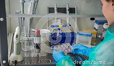 Young woman develop research project in laboratory Stock Photo