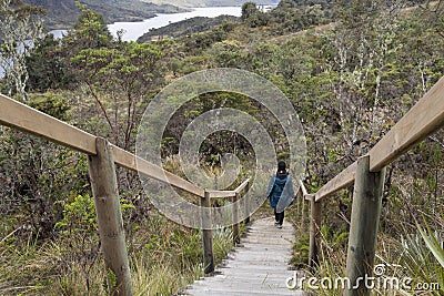 A young woman down at wooden stairs into trekking path inside Chingaza National Nature park with mountain and lake landscape Editorial Stock Photo