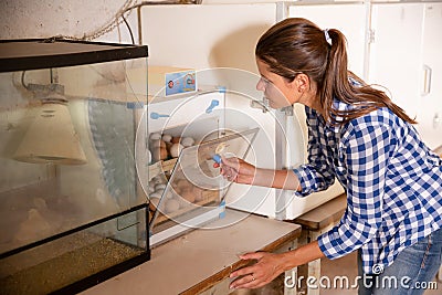 Woman controlling eggs in hatching machine Stock Photo