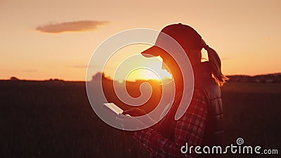 Young woman farmer working with tablet in field at sunset. The owner of a small business concept Stock Photo