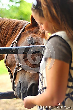 Young woman feeding horse Stock Photo