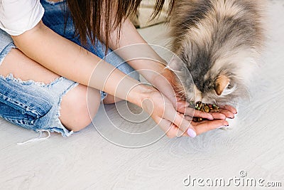 Young woman feeds her cat from hands Stock Photo