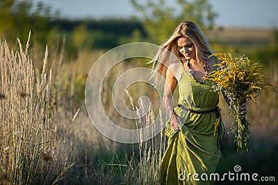 A young herbalist, full of love, walks, cradling her harvested herbs. Common goldenrod and winterflower. Stock Photo