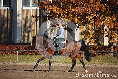 Young woman galloping on brown horse Stock Photo