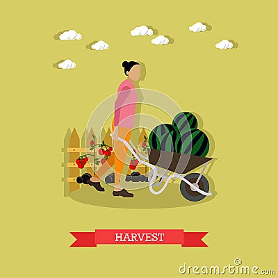 Young woman gather harvest, flat design Vector Illustration