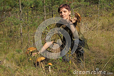 Young woman gathering mushrooms Stock Photo