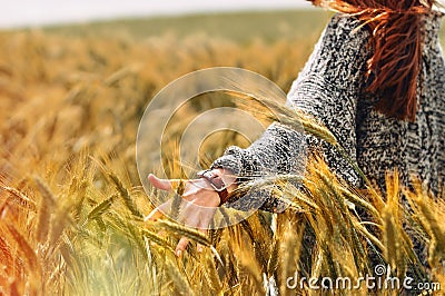 Young woman hand in a wheat field as harvest concept Stock Photo