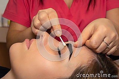 Young woman having professional eyebrow correction procedure in beauty salon Stock Photo