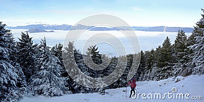 Stredna Polana, Chocske vrchy, Liptov & Orava Regions, Slovakia Stock Photo