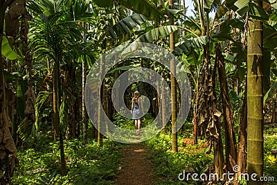 Young woman in the jungle in tropical spice plantation, Goa, Ind Stock Photo