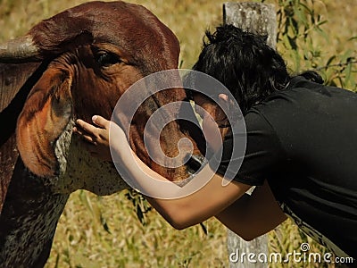 Young woman kissing a cow's head. Veganism Concept Stock Photo