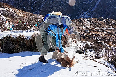 Young woman with a large backpack stroking a ginger dog on a hike in the Himalayas in winter. Mountain climbing, travel Stock Photo