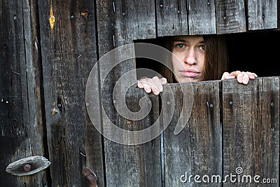 Young woman locked in a wooden shed. Stock Photo