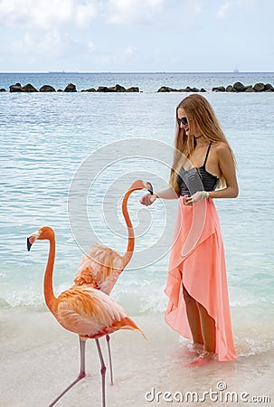 Young Woman with Long Blond Hair in Black Bikini and Pink Wrap Feeding Pink Flamingos on the Beach #2 Editorial Stock Photo