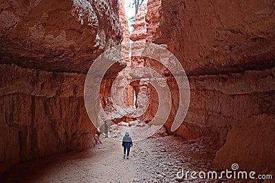 Young woman on the Navajo Loop Trail in Bryce Canyon. Stock Photo