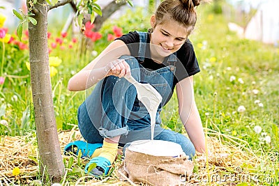 Youngwoman paints in white tree trunk with a brush.Whitewashing trees in spring time. Gardening and agriculture, protective Stock Photo