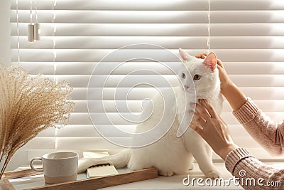 Young woman petting her white cat at home, closeup. Fluffy pet Stock Photo